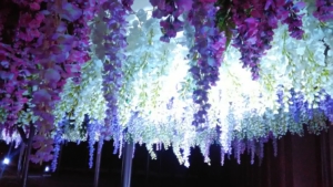 TOKYO　MEGA　ILLUMIイルミネーションの藤棚、造花に光を当てている
